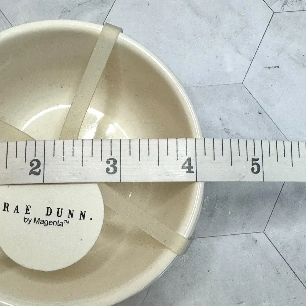 NWT Rae Dunn Ceramic Salt & Pepper Cellar 4